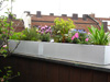 Terrasse Balkonbepflanzung Balkongestaltung Kasten