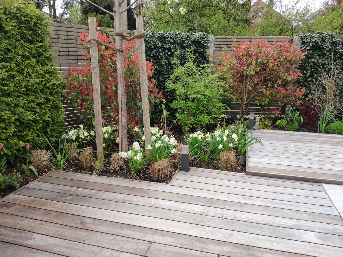 Staudenbeet, Hecke Efeu, Sichtschutz Lärche, Pooldeck