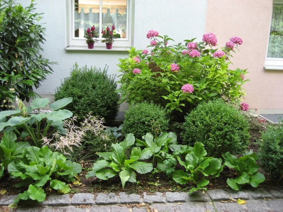 Vorgarten schattig Bepflanzung Erding
